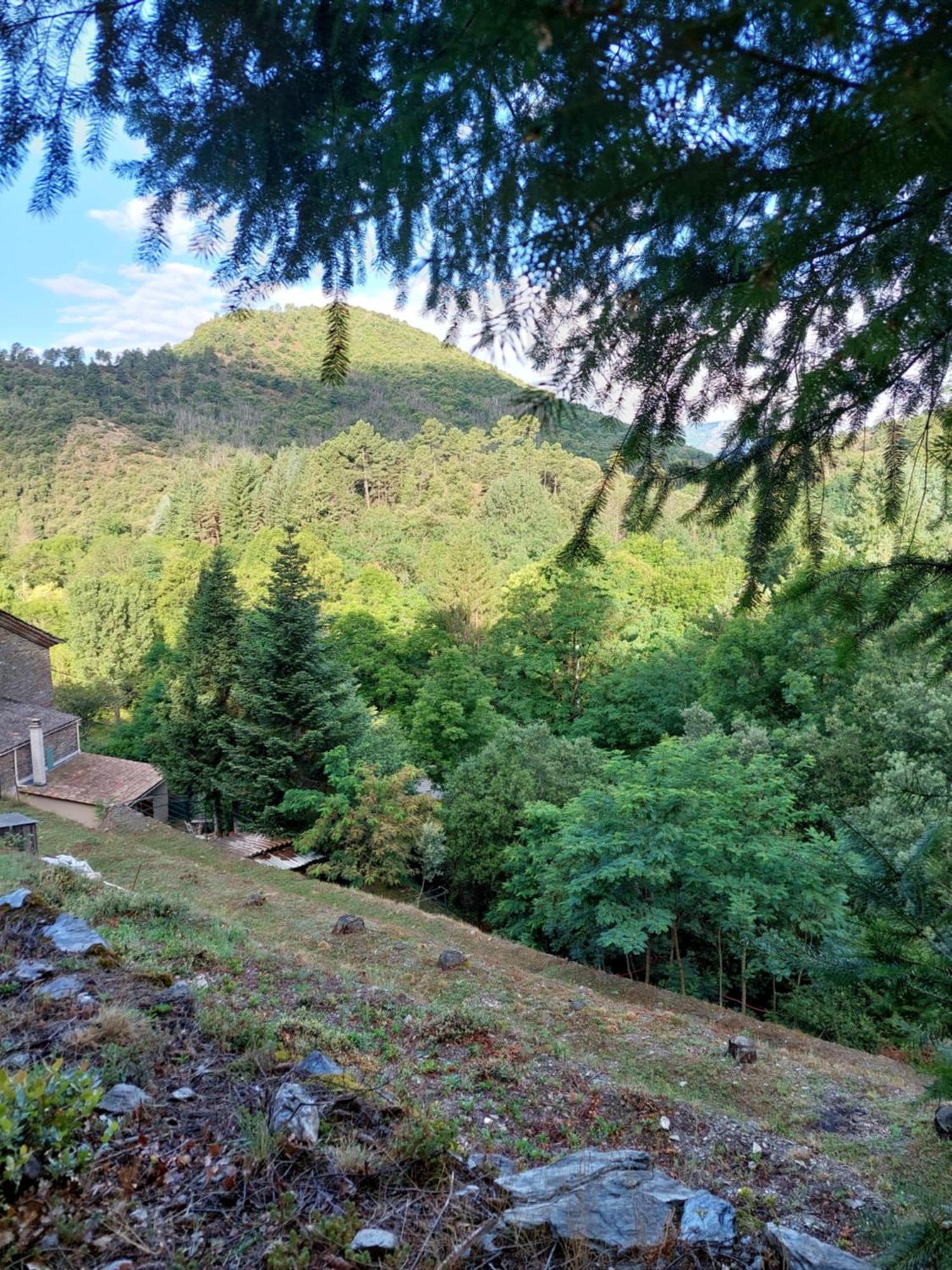 Gite Et Jardin En Bord De Riviere Saumane Exterior photo